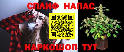 хмурый Гай
