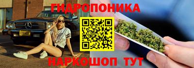 хмурый Гай