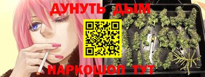 хмурый Гай