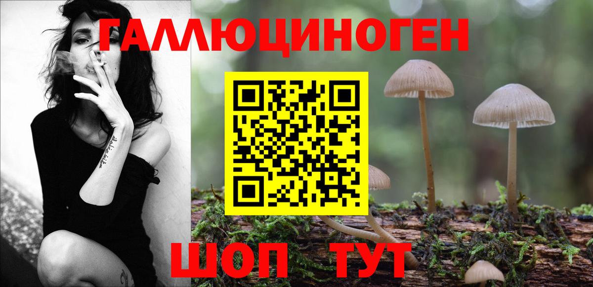 Псилоцибиновые грибы Cubensis  Вход с VPN  Щёлково 