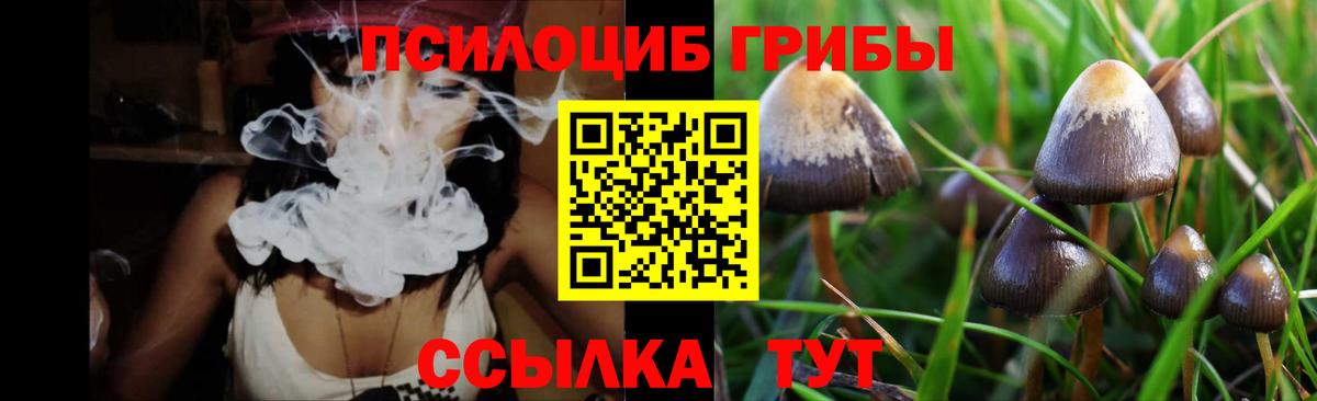 Галлюциногенные грибы прущие грибы Щёлково